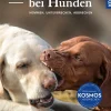 Abbruchsignale bei Hunden