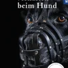 Aggressionsverhalten beim Hund