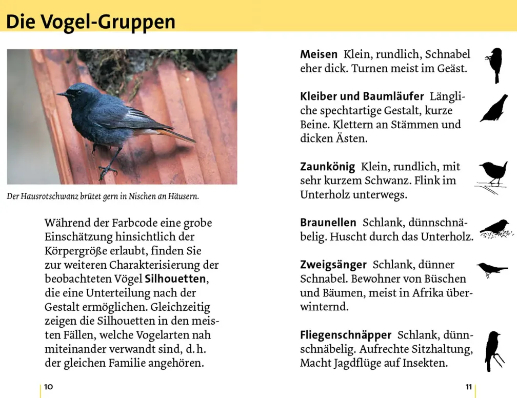 Alle Vögel sind schon da