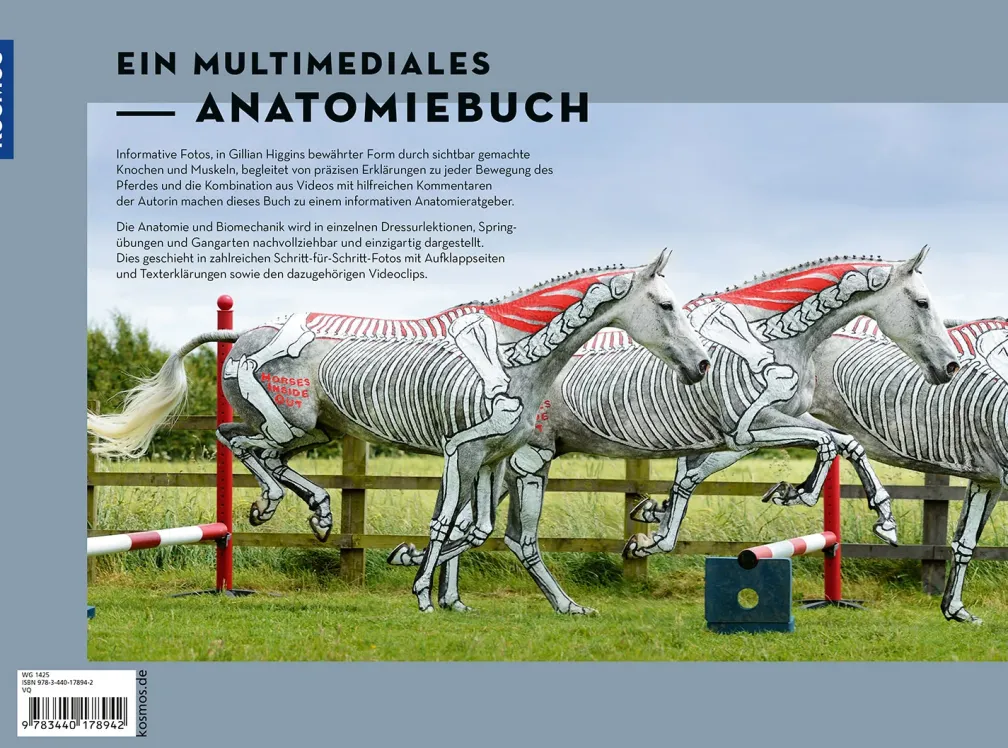 Anatomie in Bewegung