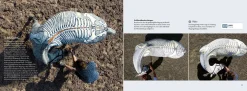 Anatomie in Bewegung