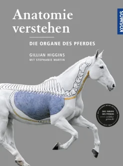 Anatomie verstehen - Die Organe des Pferdes