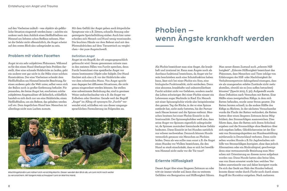 Angst bei Hunden - mit Martin Rütter