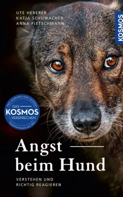 Angst beim Hund