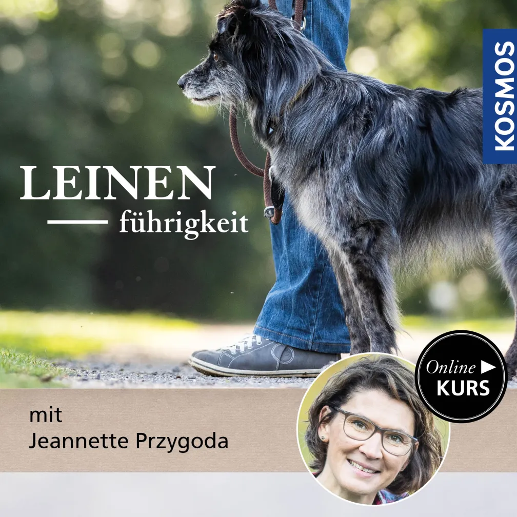 An lockerer Leine – Leinenführigkeit lernen mit Jeanette Przygoda