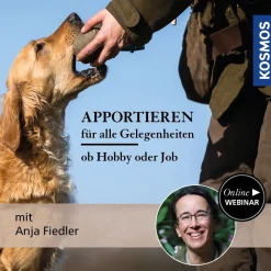 Apportieren für alle Gelegenheiten – ob Hobby oder Job