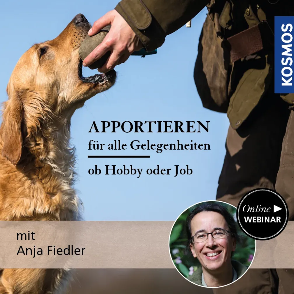 Apportieren für alle Gelegenheiten – ob Hobby oder Job