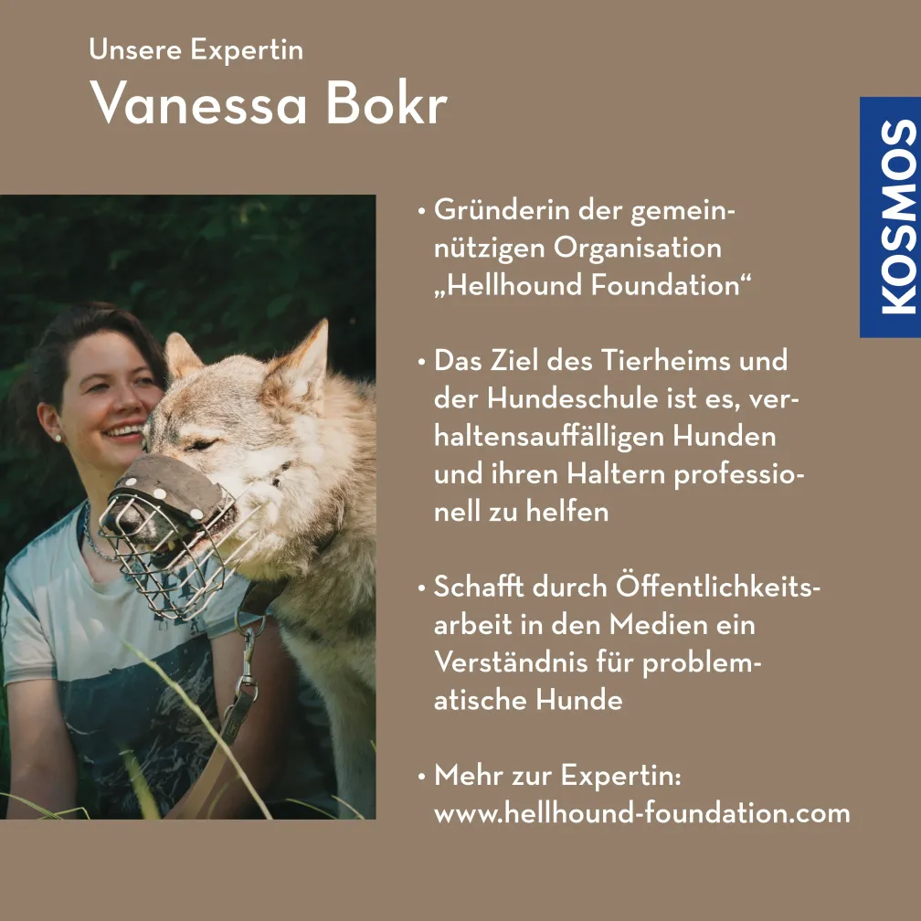Arbeiten mit verhaltensauffälligen Hunden