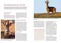 Auf Rehe jagen