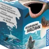 Ausgrabung Haizahn