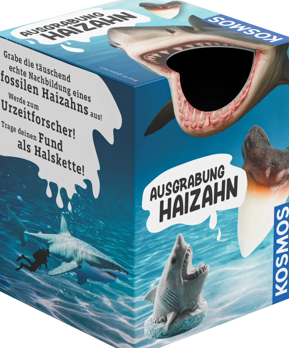 Ausgrabung Haizahn