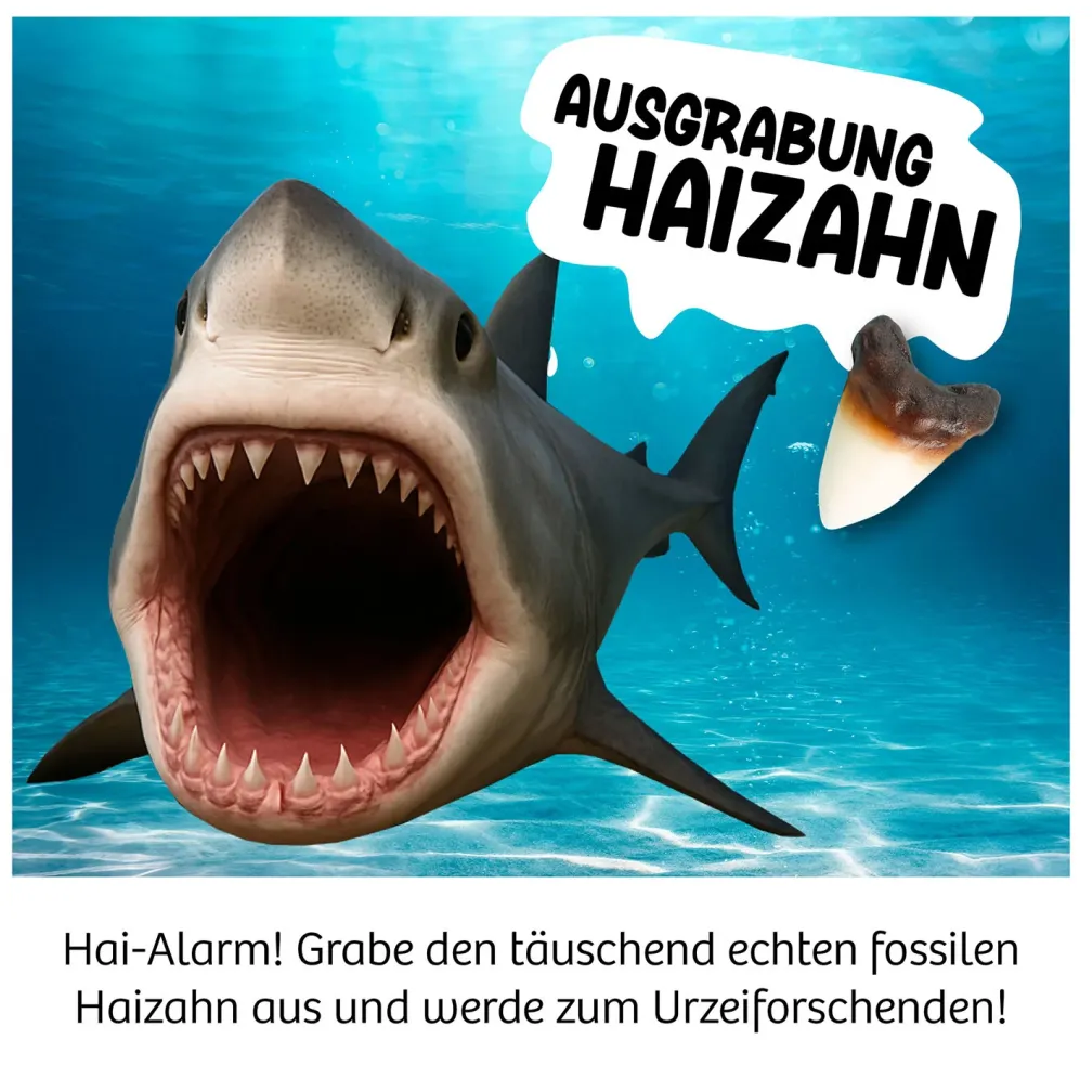 Ausgrabung Haizahn