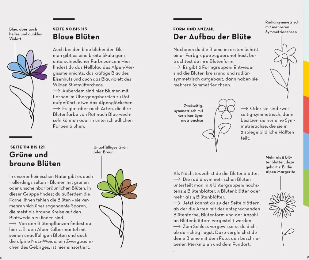Basic Alpenblumen