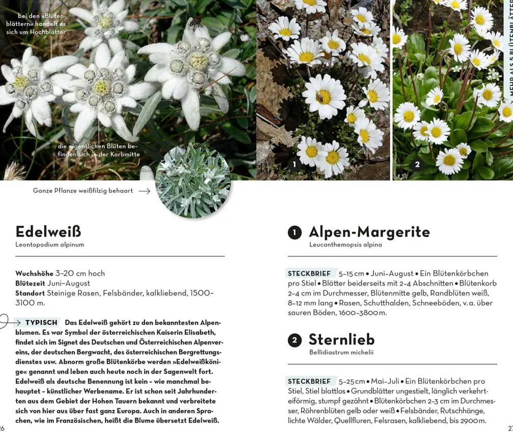 Basic Alpenblumen