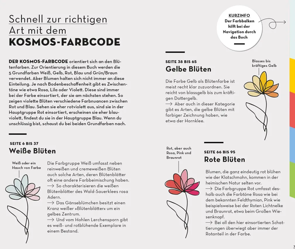 BASIC Blumen