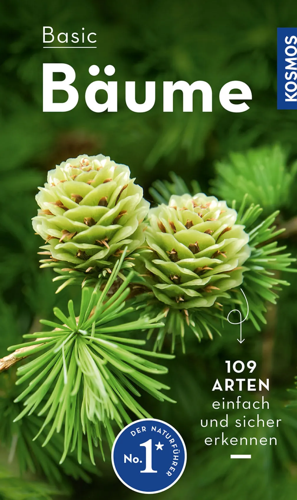 BASIC Bäume