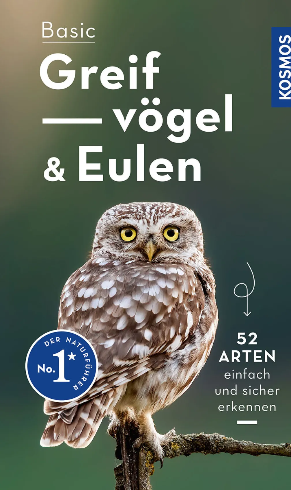 Basic Eulen Greifvögel