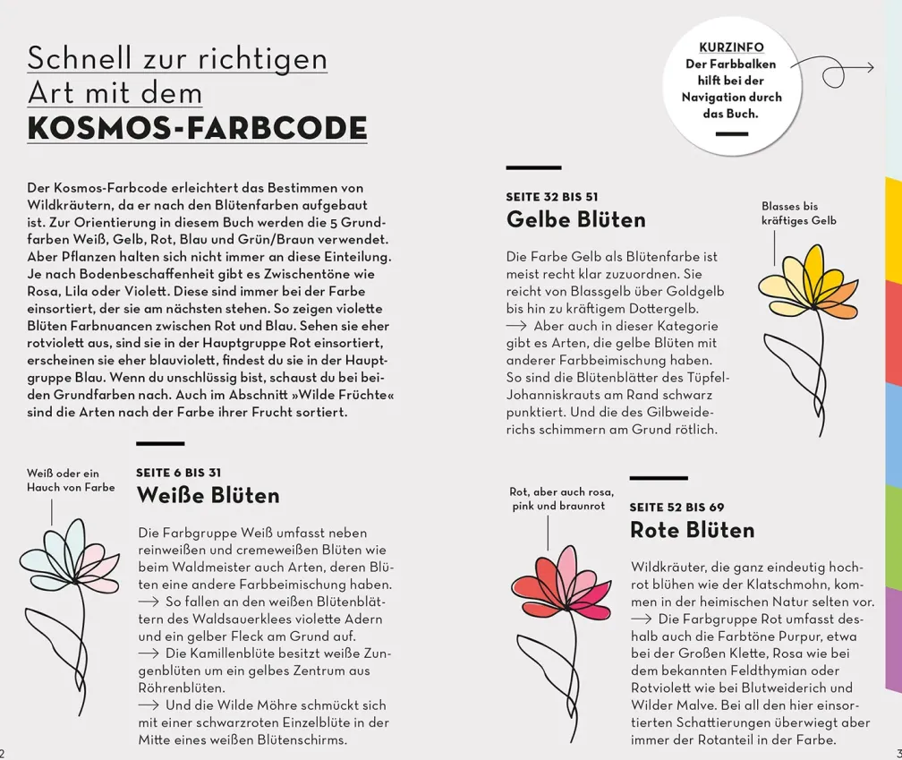 BASIC Früchte und Wildkräuter