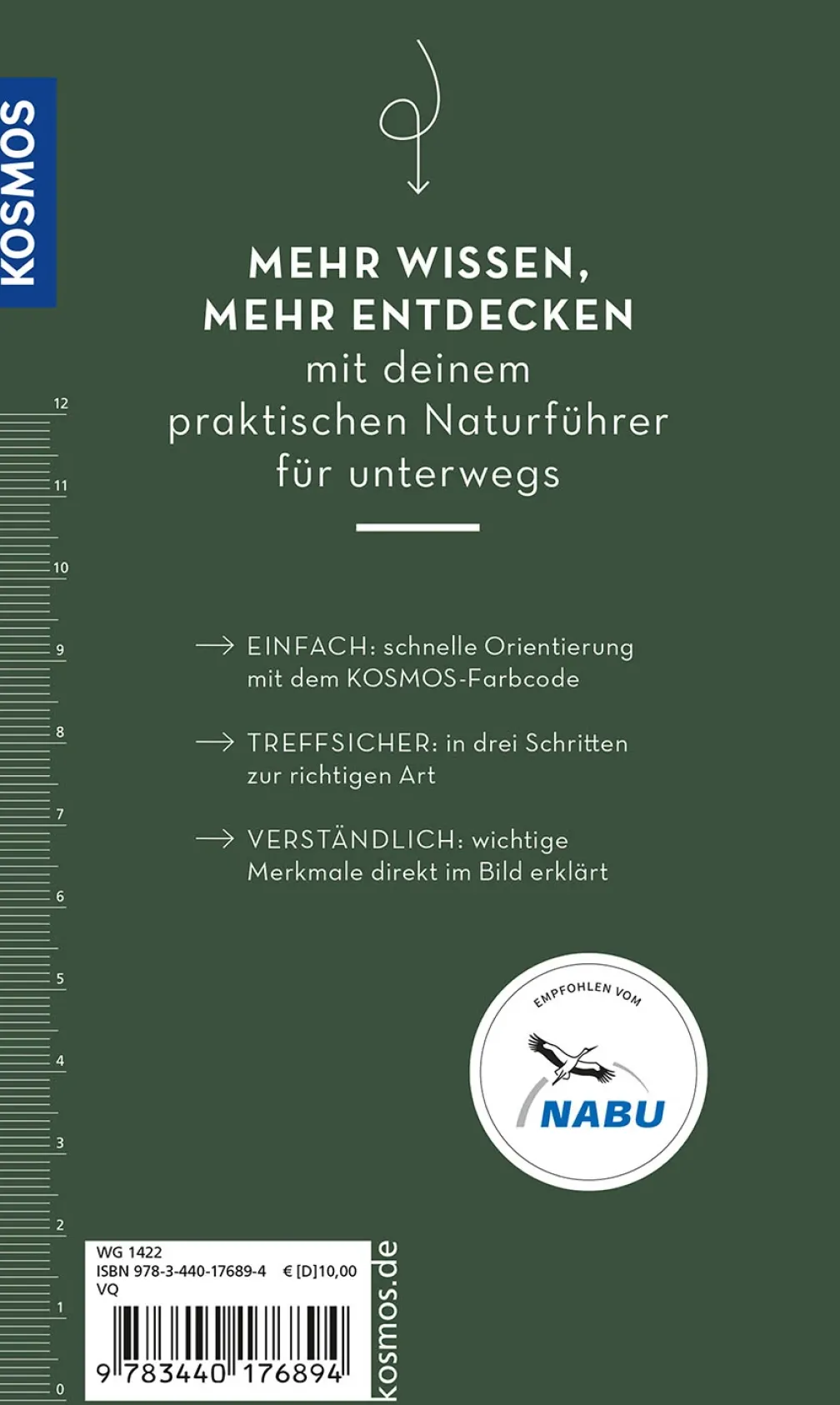 Basic Greifvögel und Eulen