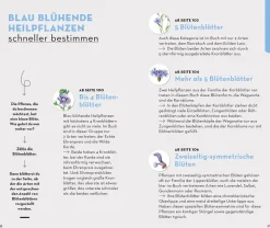 Basic Heilpflanzen