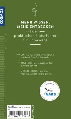 BASIC Insekten