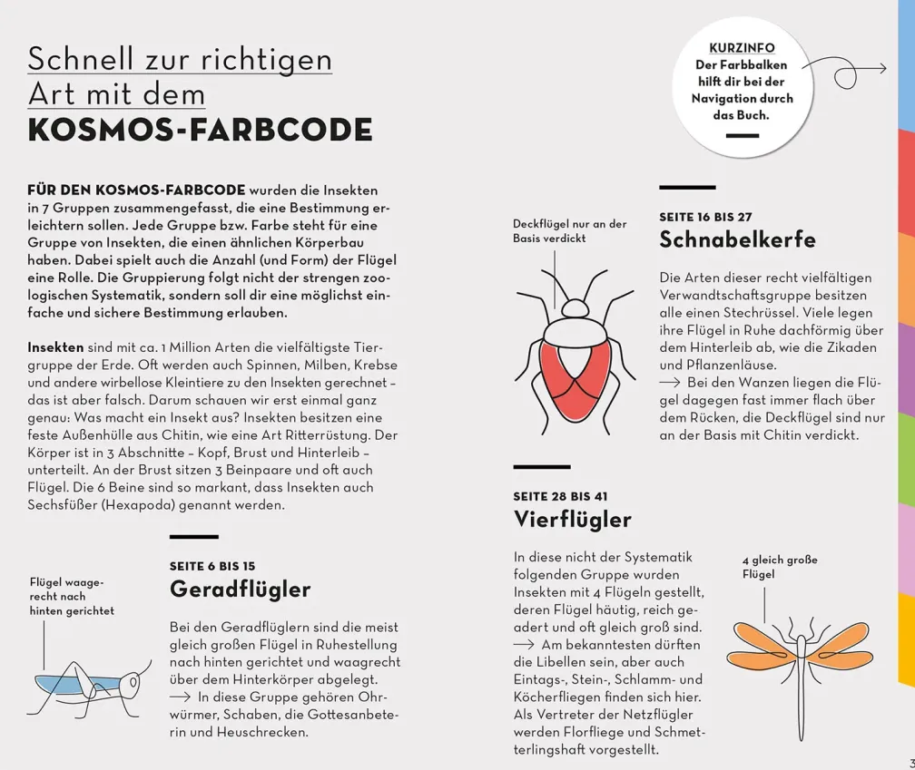 BASIC Insekten