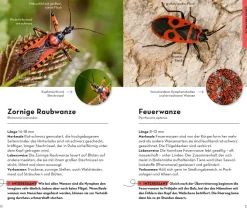 BASIC Insekten