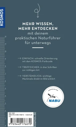 Basic Spinnen