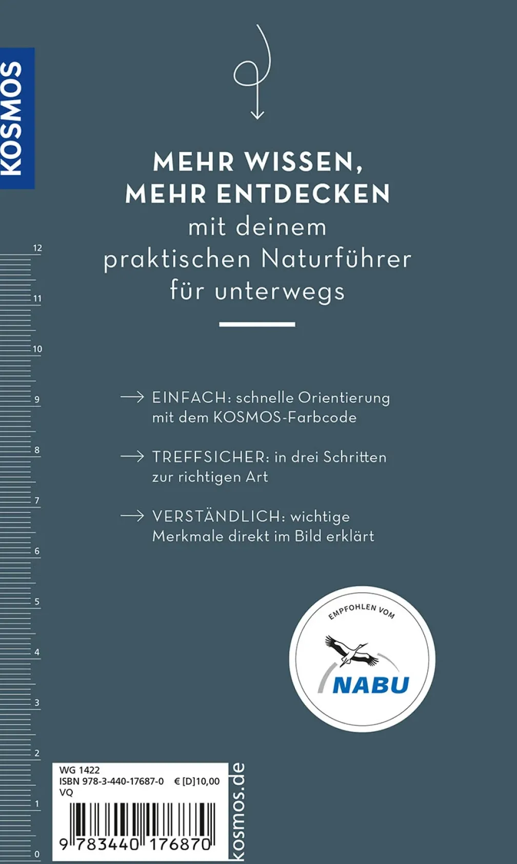 Basic Spinnen