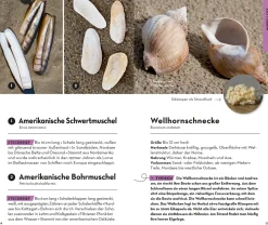 Basic Strand und Küste