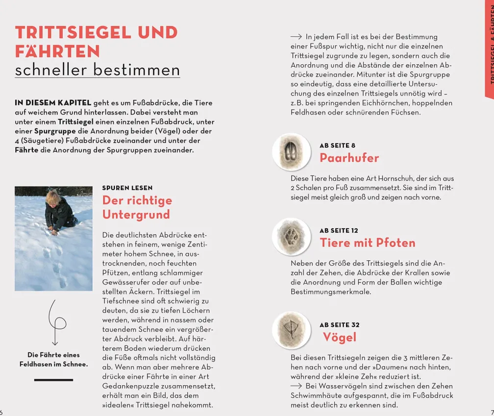 BASIC Tierspuren