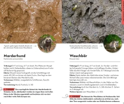 BASIC Tierspuren