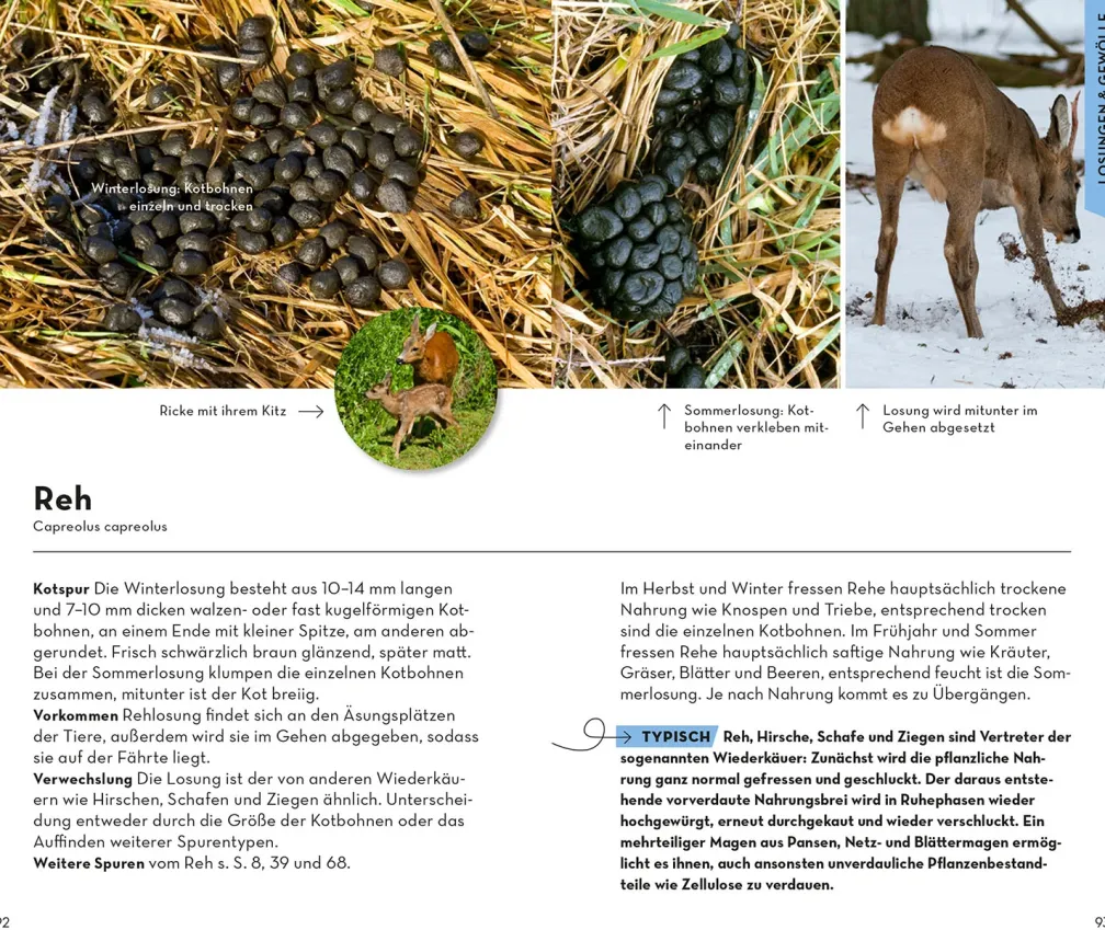 BASIC Tierspuren