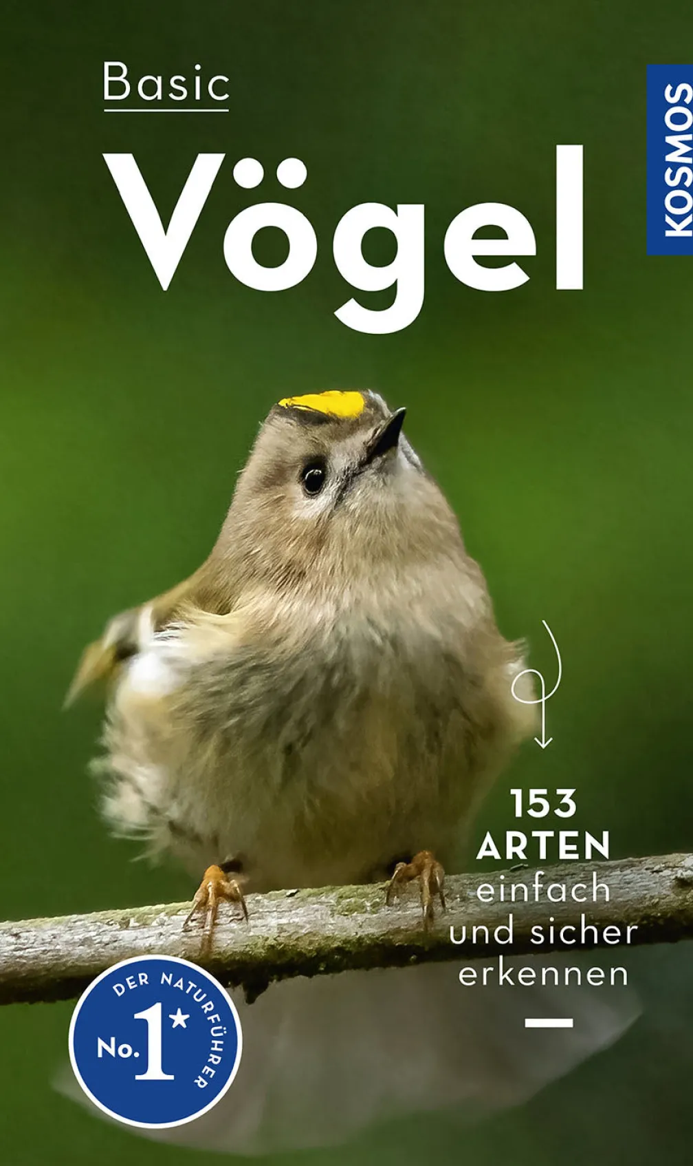 BASIC Vögel