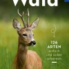 Basic Wald