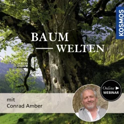 Baumwelten