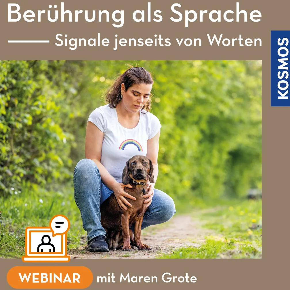 Berührung als Sprache – Signale jenseits von Worten