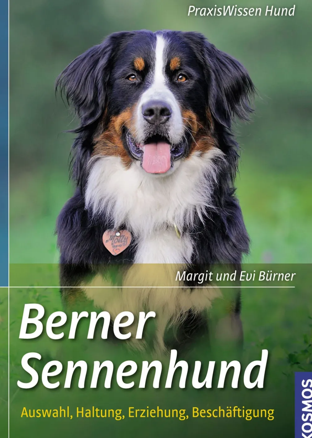 Berner Sennenhund