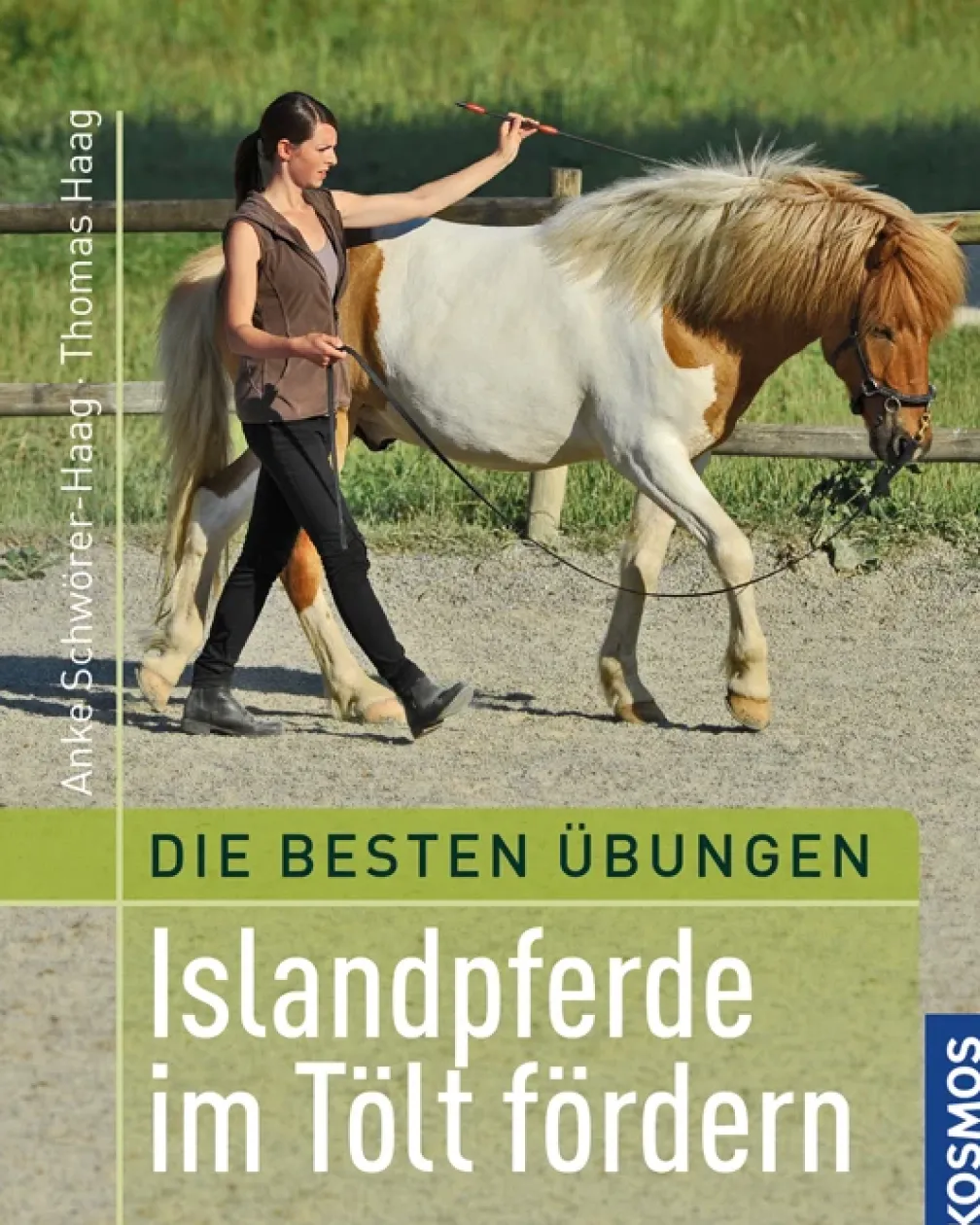 Beste Übungen: Islandpferde im Tölt fördern