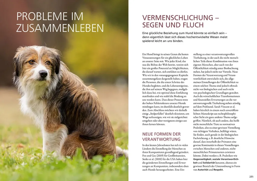 Beziehung, Erziehung, Bindung