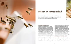 Bienen halten mit der BienenBox