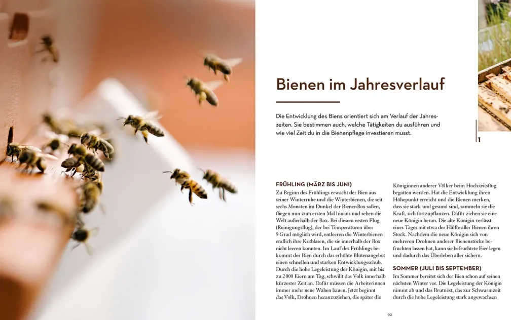Bienen halten mit der BienenBox