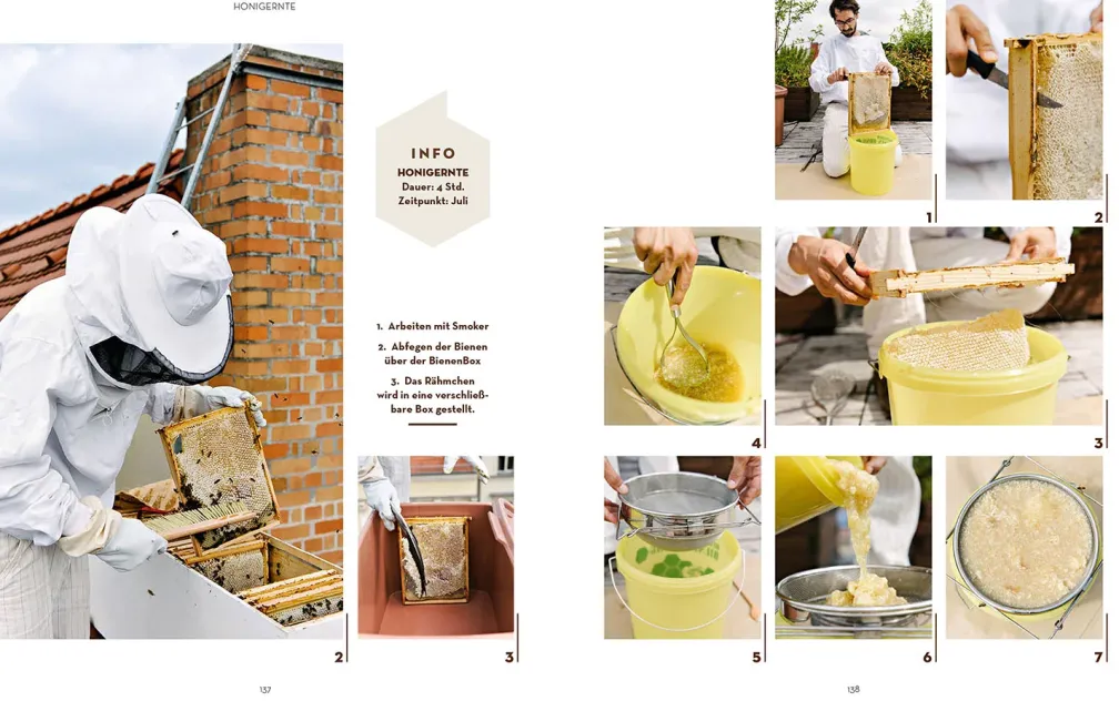 Bienen halten mit der BienenBox
