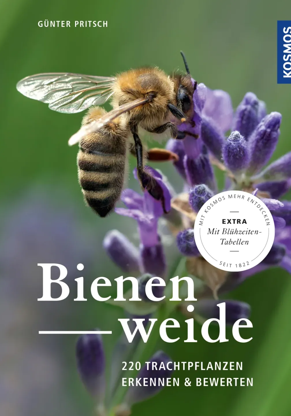 Bienenweide