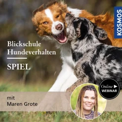 Blickschule Hundeverhalten – Spiel