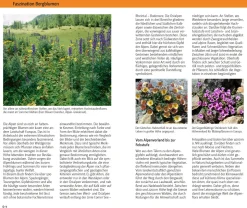 Blumen der Alpen