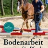 Bodenarbeit für Pferde