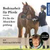 Bodenarbeit für Pferde – fit für die Abzeichenprüfung