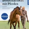 Bodenarbeit mit Pferden