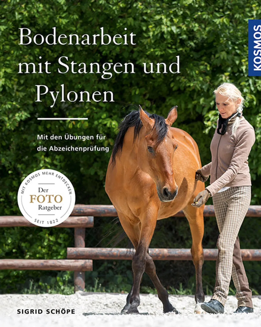 Bodenarbeit mit Stangen und Pylonen